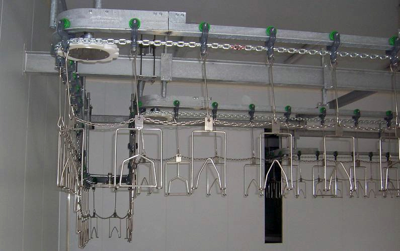 linie abatorizare pasari